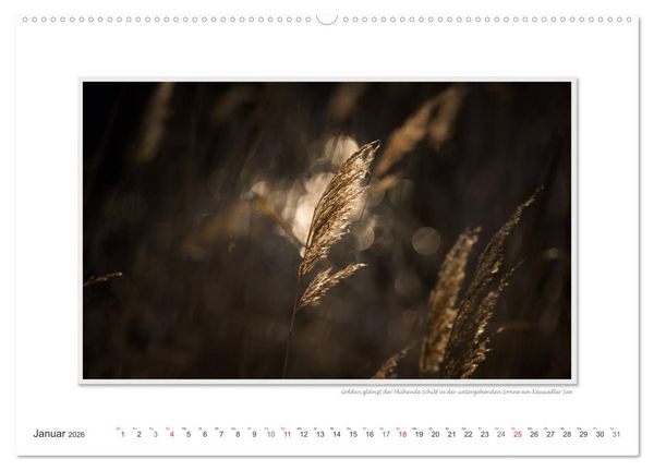 Produktbild: Neusiedler See / CH-Version (Wandkalender 2026 DIN A2 quer), CALVENDO Monatskalender