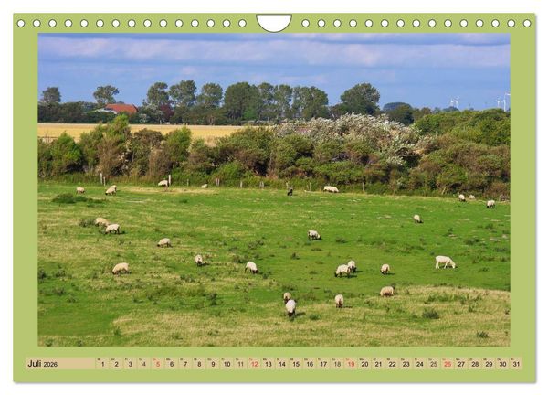 Produktbild: B&uuml;sum an der Nordsee (Wandkalender 2026 DIN A4 quer), CALVENDO Monatskalender