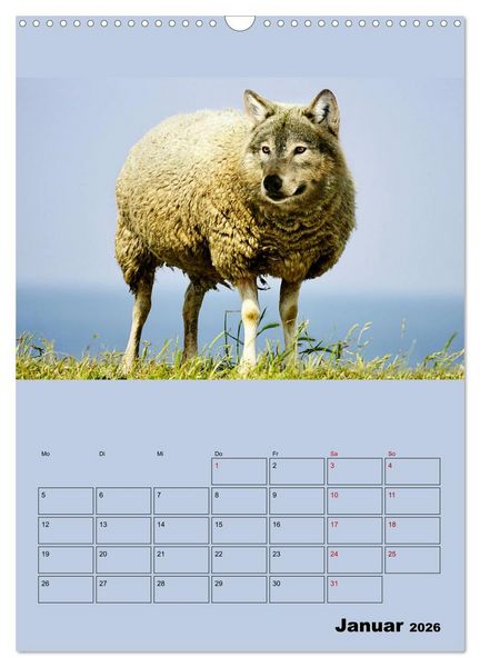 Produktbild: Seltsame Tiere - da stimmt doch was nicht... (Wandkalender 2026 DIN A3 hoch), CALVENDO Monatskalender