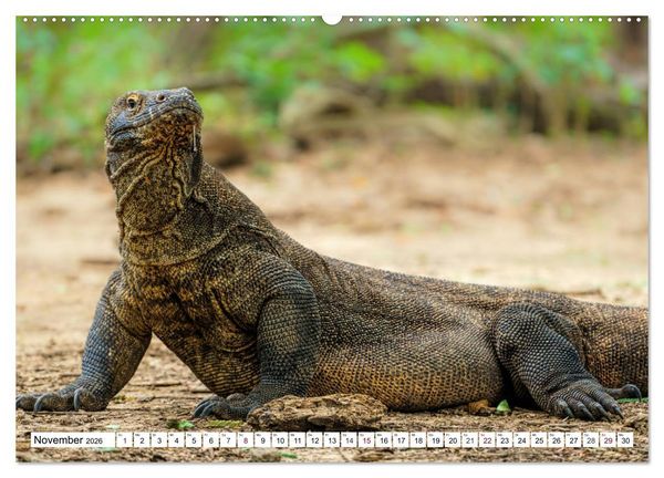Produktbild: Indonesien - Inselparadies Flores & Komodo (hochwertiger Premium Wandkalender 2026 DIN A2 quer), Kunstdruck in Hochglanz
