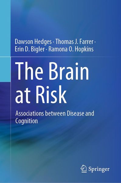 Produktbild: The Brain at Risk