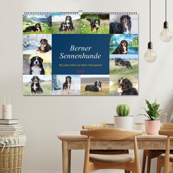 Produktbild: Berner Sennenhunde - Mit jedem Blick ein St&uuml;ck Geborgenheit (Wandkalender 2026 DIN A2 quer), CALVENDO Monatskalender