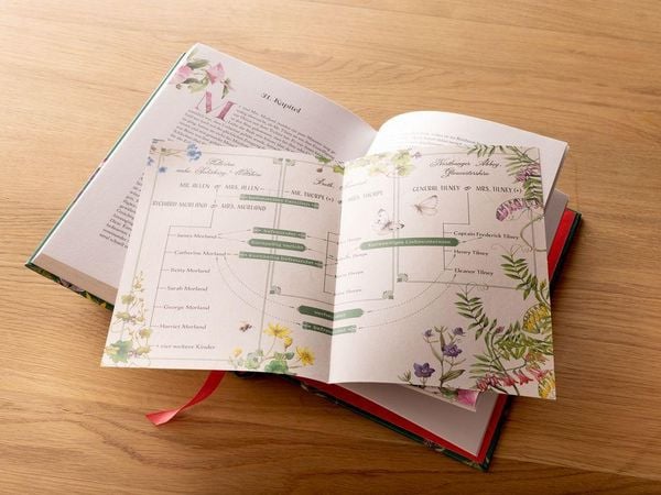 Produktbild: Northanger Abbey