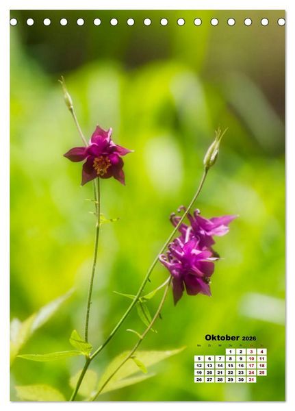 Produktbild: Spa&szlig; mit bunten Bl&uuml;mchen (Tischkalender 2026 DIN A5 hoch), CALVENDO Monatskalender