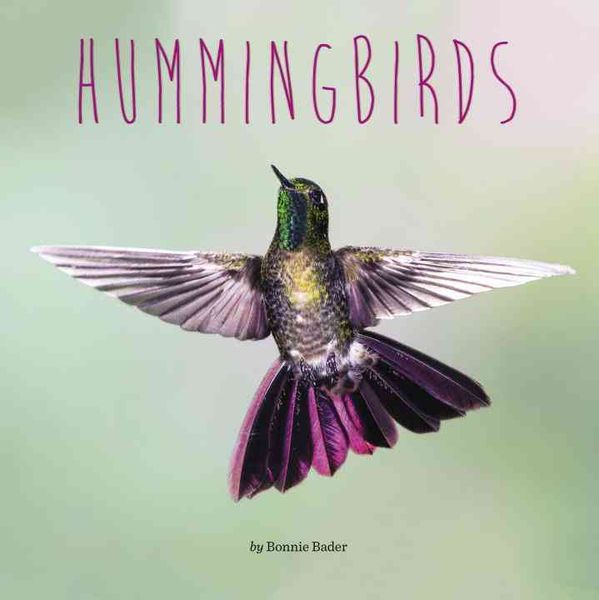 Produktbild: Hummingbirds