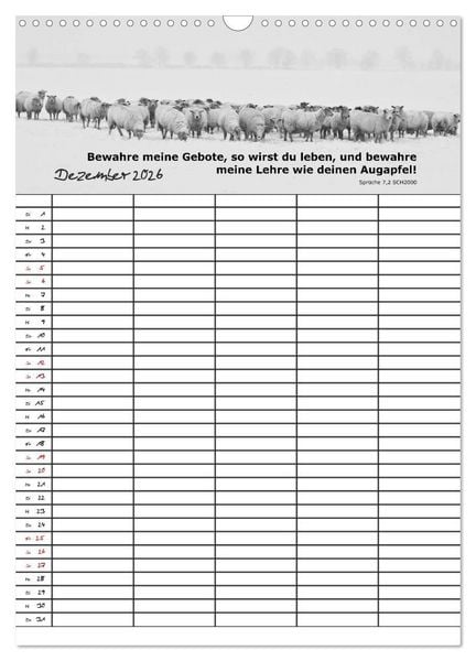 Produktbild: ein Planer mit biblischer Weisheit aus den Spr&uuml;chen Salomos (Wandkalender 2026 DIN A3 hoch), CALVENDO Monatskalender