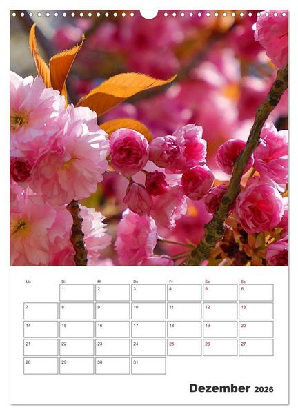 Produktbild: BL&Uuml;TENZAUBER (Wandkalender 2026 DIN A3 hoch), CALVENDO Monatskalender