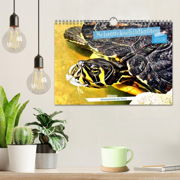 Produktbild: Schmuckschildkr&ouml;ten - Schmuckst&uuml;cke der Natur (Wandkalender 2026 DIN A4 quer), CALVENDO Monatskalender