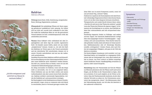 Produktbild: Heilsame Essenzen f&uuml;r die Seele