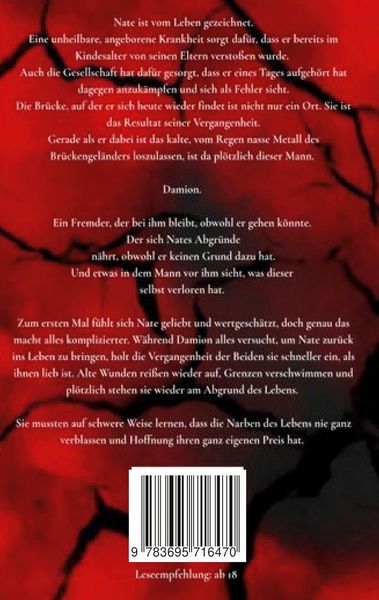 Produktbild: Shattered Souls