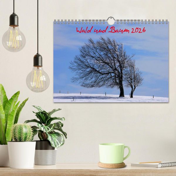 Produktbild: Wald und Baum 2026 (Wandkalender 2026 DIN A4 quer), CALVENDO Monatskalender