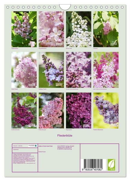 Produktbild: Fliederbl&uuml;te (Wandkalender 2026 DIN A4 hoch), CALVENDO Monatskalender
