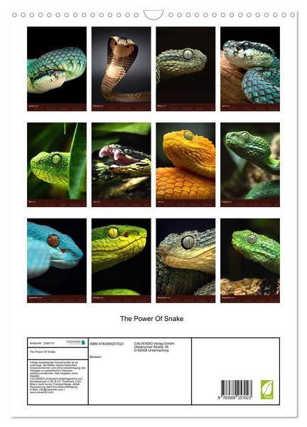 Produktbild: The Power Of Snake (Wandkalender 2027 DIN A3 hoch), CALVENDO Monatskalender