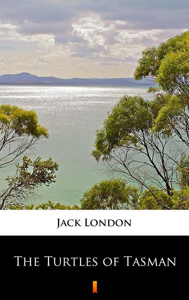 Produktbild: The Turtles of Tasman