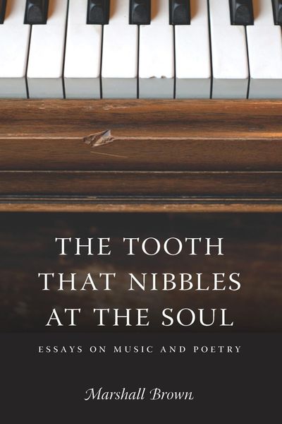 Produktbild: The Tooth That Nibbles at the Soul