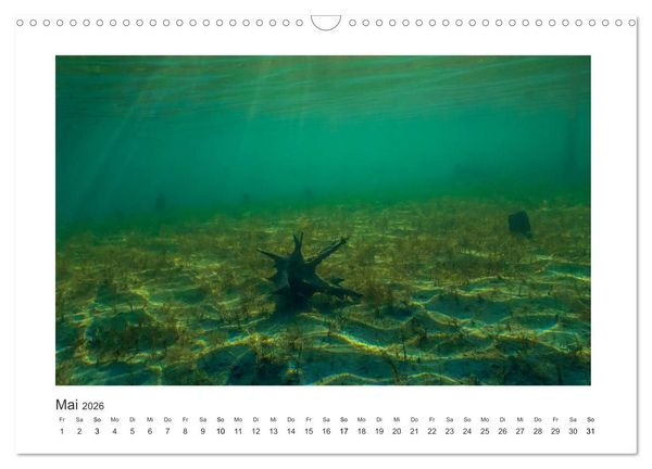 Produktbild: Unter Wasser in B&auml;chen und Fl&uuml;ssen (Wandkalender 2026 DIN A3 quer), CALVENDO Monatskalender