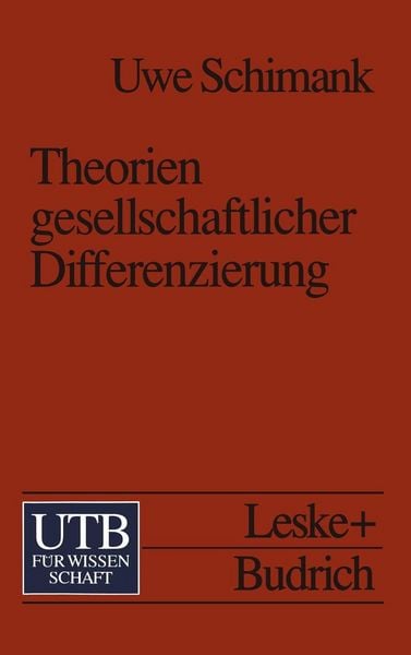 Produktbild: Theorien gesellschaftlicher Differenzierung