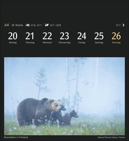 Produktbild: Magic Nature Postkartenkalender Kalender 2026 - Kalender mit 53 Postkarten