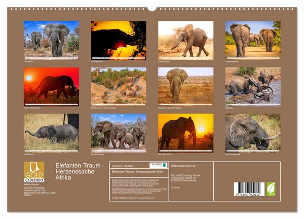 Produktbild: Elefanten-Traum - Herzenssache Afrika (hochwertiger Premium Wandkalender 2026 DIN A2 quer), Kunstdruck in Hochglanz