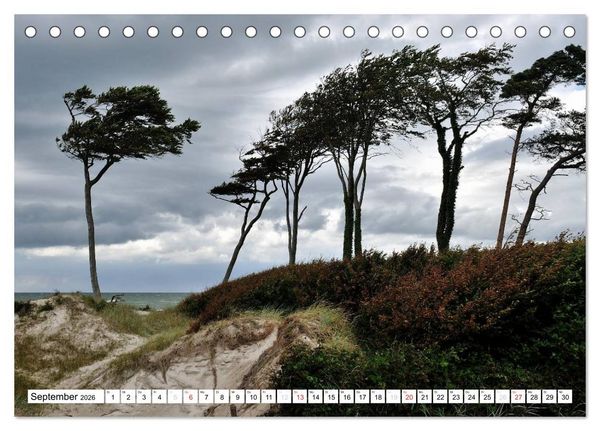 Produktbild: Naturschauspiel Dar&szlig;er Weststrand (Tischkalender 2026 DIN A5 quer), CALVENDO Monatskalender