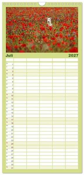Produktbild: Familienplaner 2027 - Der Windhundekalender mit 5 Spalten (Wandkalender, 21 x 45 cm) CALVENDO
