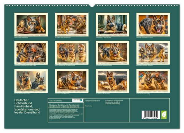 Produktbild: Deutscher Sch&auml;ferhund. Familienheld, Sportskanone und loyaler Diensthund (hochwertiger Premium Wandkalender 2026 DIN A2 quer), Kunstdruck in Hochglanz