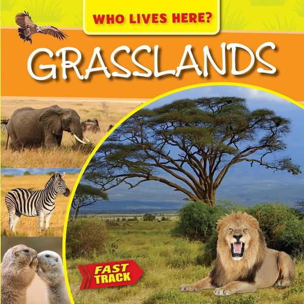 Produktbild: Grasslands