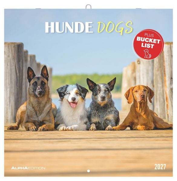 Produktbild: Hunde 2027