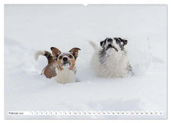 Produktbild: Emotionale Momente: Wild und Jagd. (hochwertiger Premium Wandkalender 2026 DIN A2 quer), Kunstdruck in Hochglanz