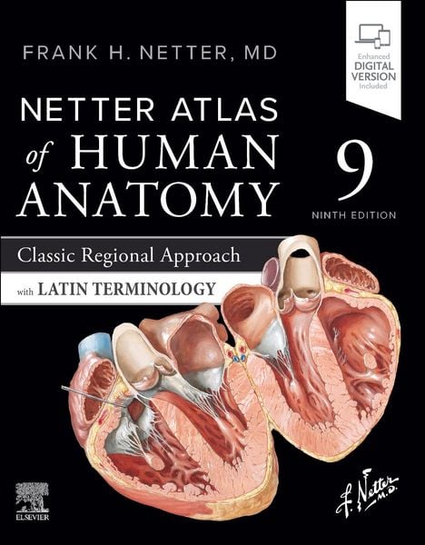 Netter Atlas of Human Anatomy: Classic Regional Approach with Latin Terminology, Taschenbuch von Frank H. Netter, Elsevier LTD, 978-0-443-37794-5