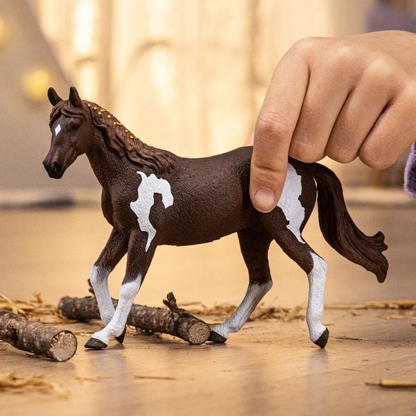 Produktbild: Paint Horse Stute