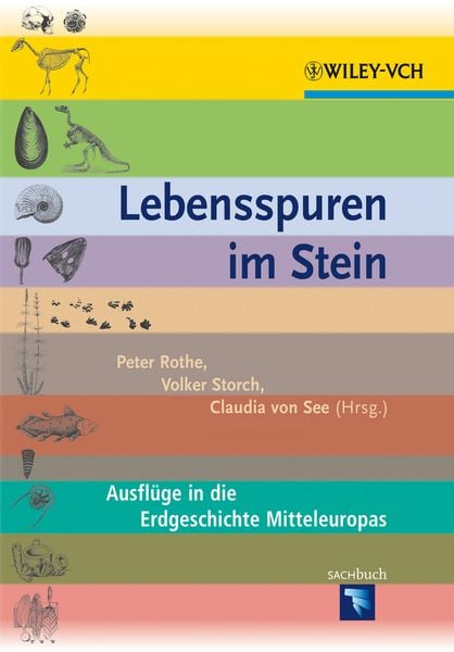 Produktbild: Lebensspuren im Stein