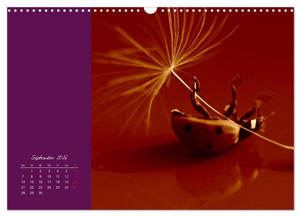 Produktbild: Momente des Gl&uuml;cks (Wandkalender 2026 DIN A3 quer), CALVENDO Monatskalender