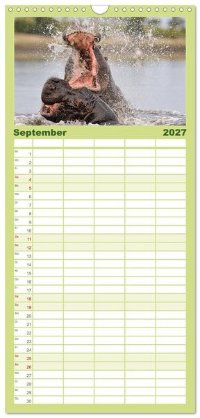 Produktbild: Familienplaner 2027 - Flusspferde Magie des Augenblicks - Hippos in Afrika mit 5 Spalten (Wandkalender, 21 x 45 cm) CALVENDO