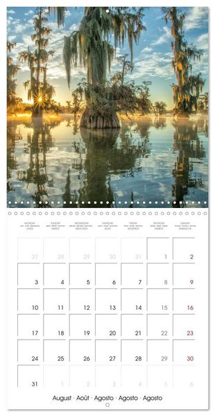 Produktbild: Mississippi Delta, Magic Swamps (Wall Calendar 2026 12 &times; 12 Inch) CALVENDO 12 Month Wall Calendar