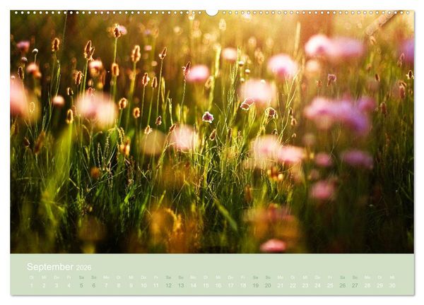Produktbild: Zeitenwandel - Ein Jahr in der Natur (hochwertiger Premium Wandkalender 2026 DIN A2 quer), Kunstdruck in Hochglanz