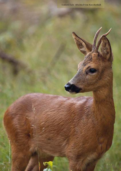 Produktbild: Lust auf Jagd