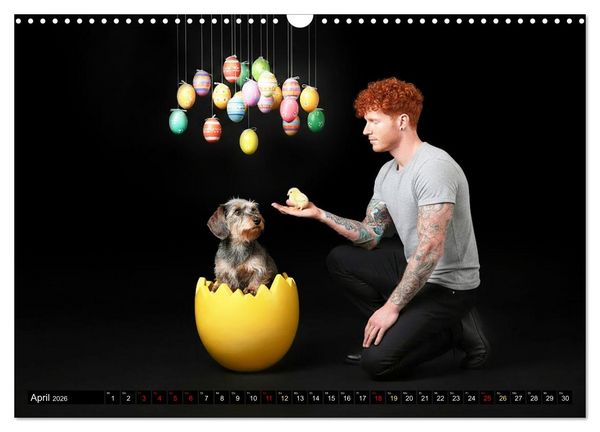 Produktbild: Coole Typen - Rauhaardackel (Wandkalender 2026 DIN A3 quer), CALVENDO Monatskalender