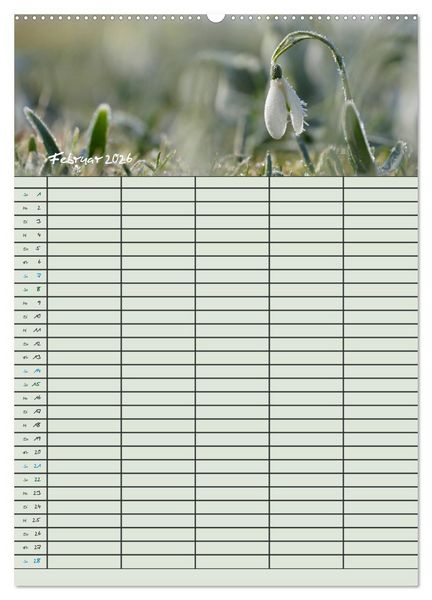 Produktbild: Kleine Natursch&ouml;nheiten (hochwertiger Premium Wandkalender 2026 DIN A2 hoch), Kunstdruck in Hochglanz