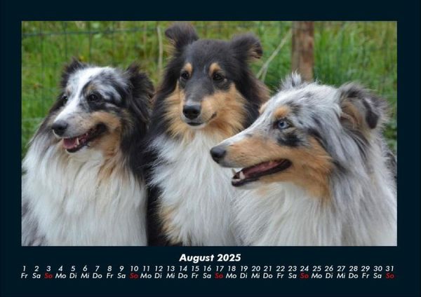 Produktbild: Hundezauber 2025 Fotokalender DIN A4
