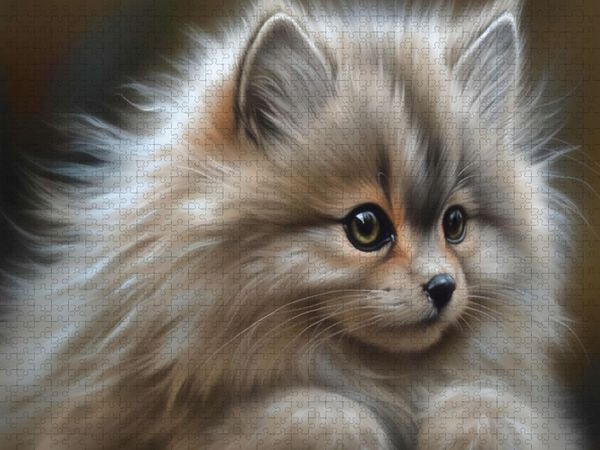 Produktbild: CALVENDO Puzzle Ein Motiv aus dem Kalender Zauberhafte Fluffies | 2000 Teile Lege-Gr&ouml;&szlig;e 90x67cm Foto-Puzzle f&uuml;r gl&uuml;ckliche Stunden