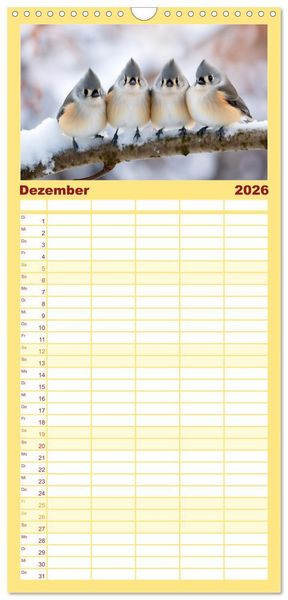 Produktbild: Familienplaner 2026 - Die Magie der Masse mit 5 Spalten (Wandkalender, 21 x 45 cm) CALVENDO