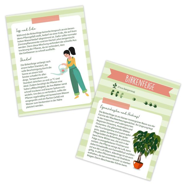 Produktbild: Mein Pflanzengl&uuml;ck - 50 Tipps f&uuml;r ein gr&uuml;nes Zuhause