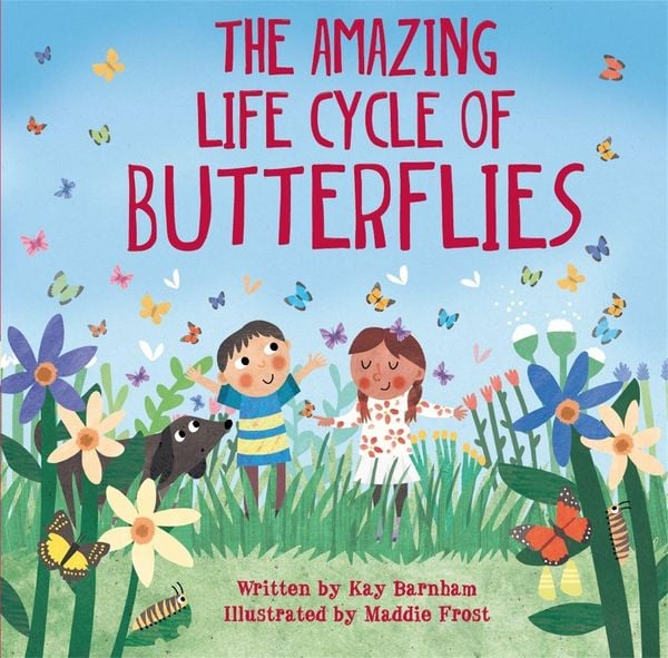 Produktbild: Look and Wonder: The Amazing Life Cycle of Butterflies