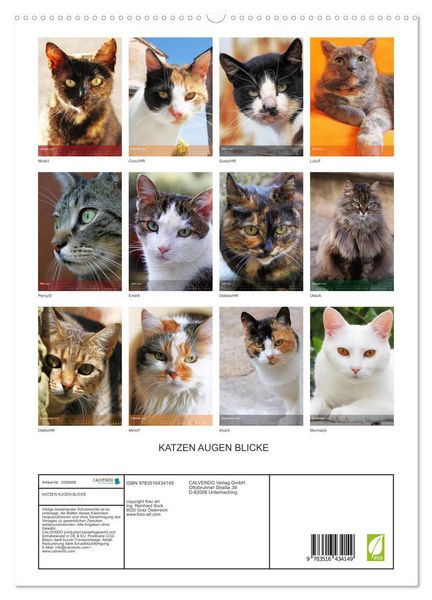 Produktbild: KATZEN AUGEN BLICKE (hochwertiger Premium Wandkalender 2026 DIN A2 hoch), Kunstdruck in Hochglanz