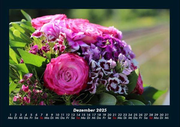 Produktbild: Pflanzen und Bl&uuml;ten 2025 Fotokalender DIN A4