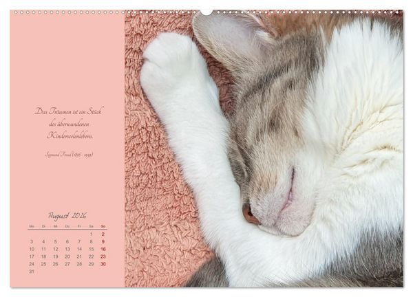 Produktbild: H&auml;ng einfach mal ab (hochwertiger Premium Wandkalender 2026 DIN A2 quer), Kunstdruck in Hochglanz