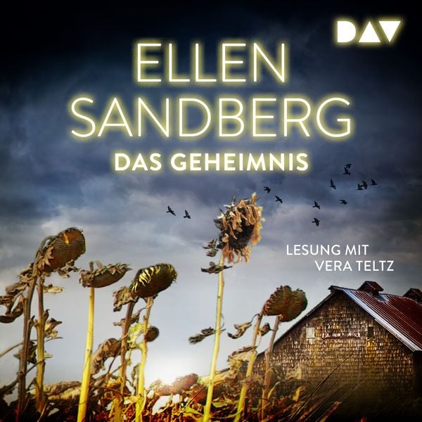 Produktbild: Das Geheimnis