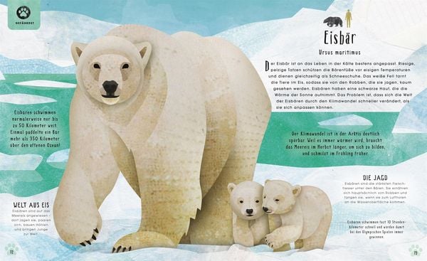 Produktbild: Tiere: 50 Geschichten &uuml;ber Mammut, Panda, Elefant und Co.