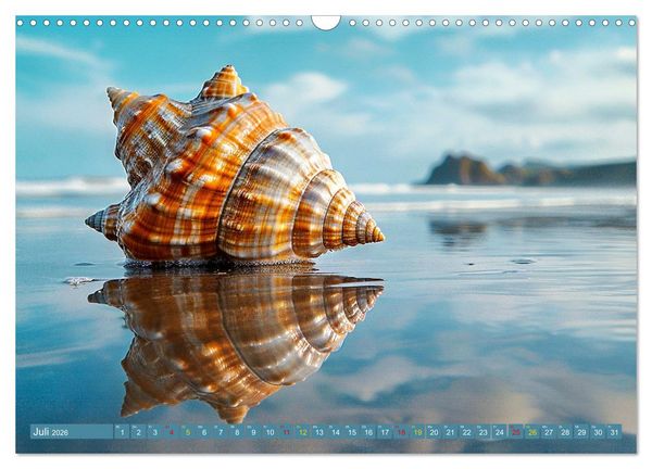 Produktbild: Faszination Muscheln (Wandkalender 2026 DIN A3 quer), CALVENDO Monatskalender